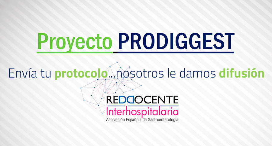 proyecto-prodiggest.jpg