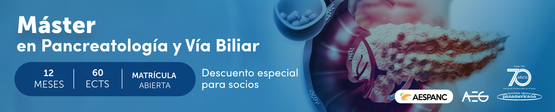 Máster en Pancreatología y Vía Biliar