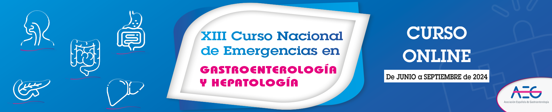 XIII Curso Nacional de Emergencias en Gastroenterología y Hepatología